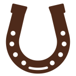 Horseshoe ornament
